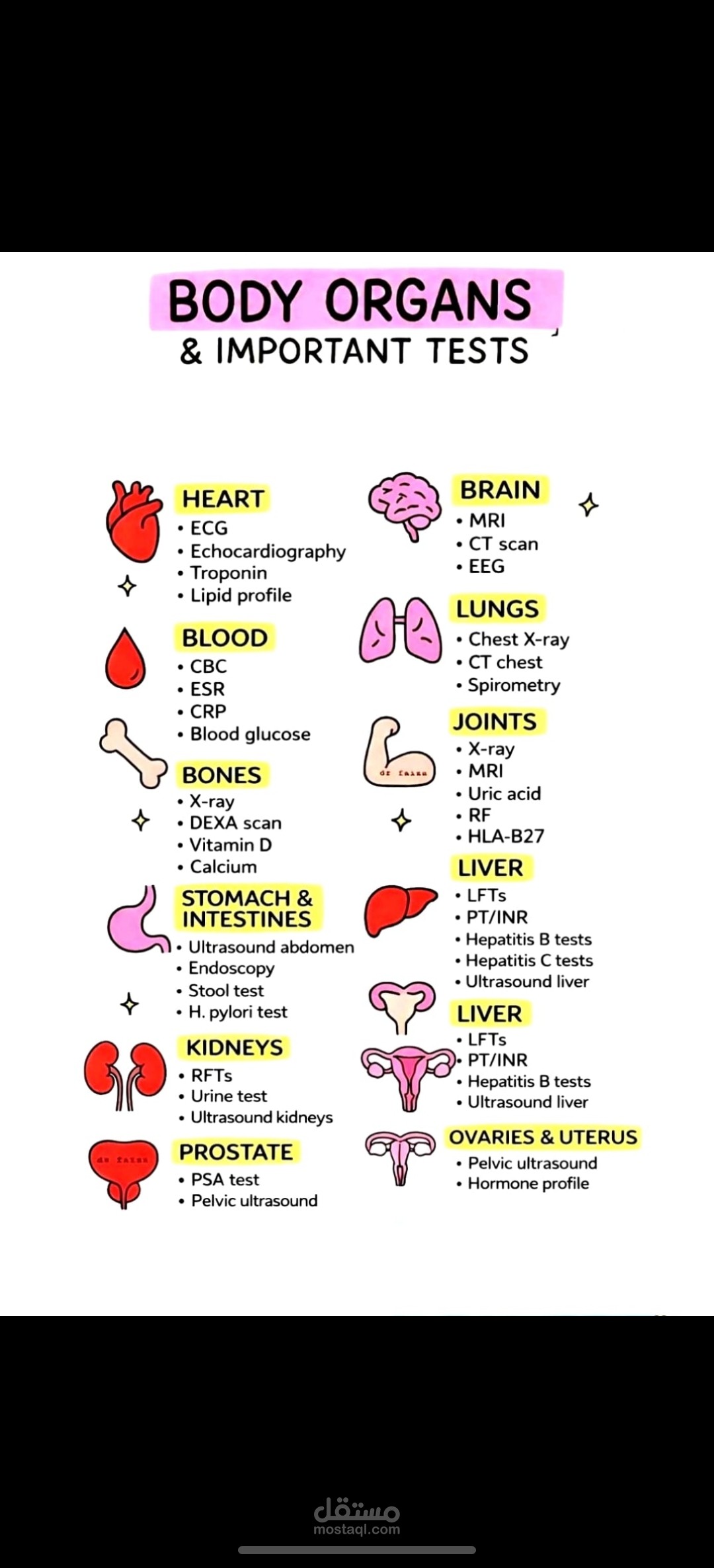 Body Organs and Their Important Medical Tests