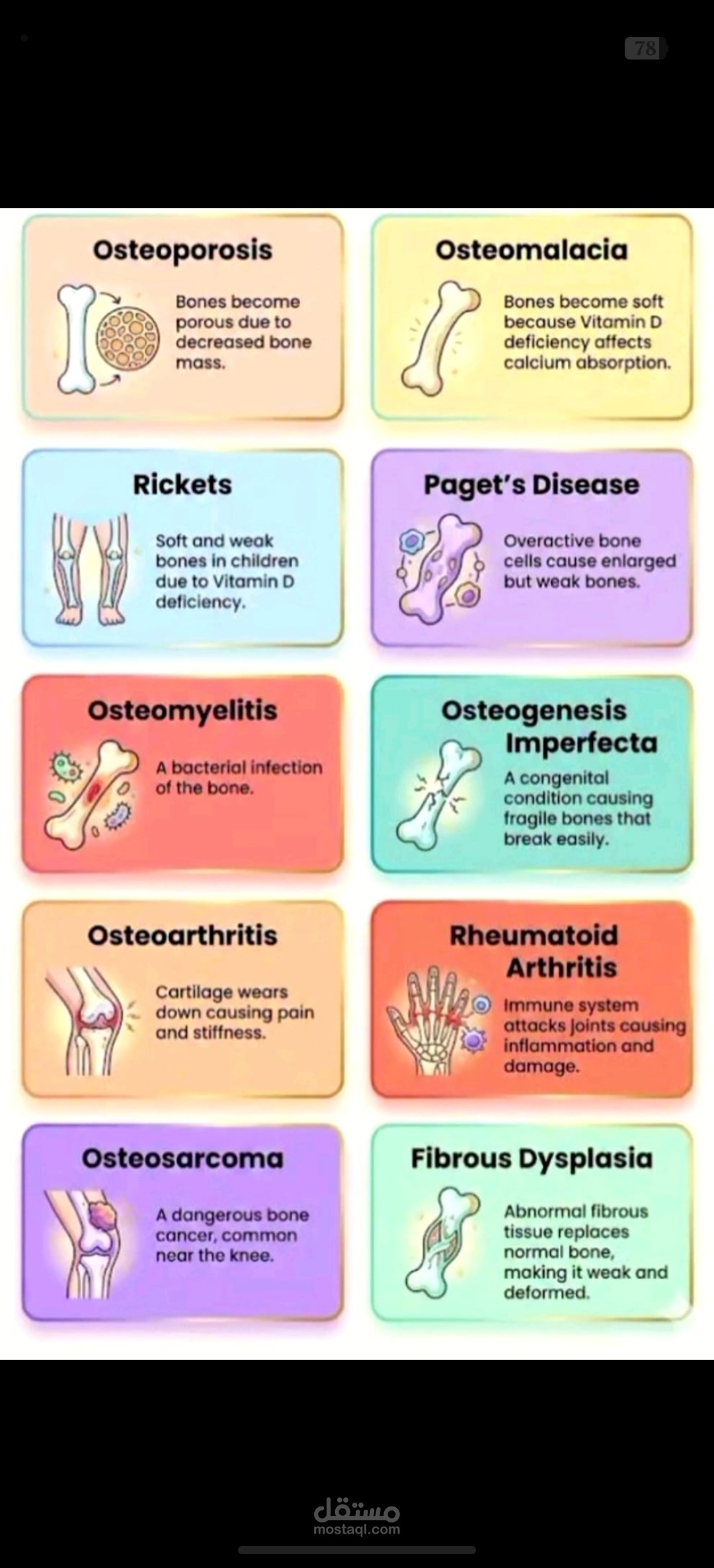 Common Bone Diseases and Their Key Features