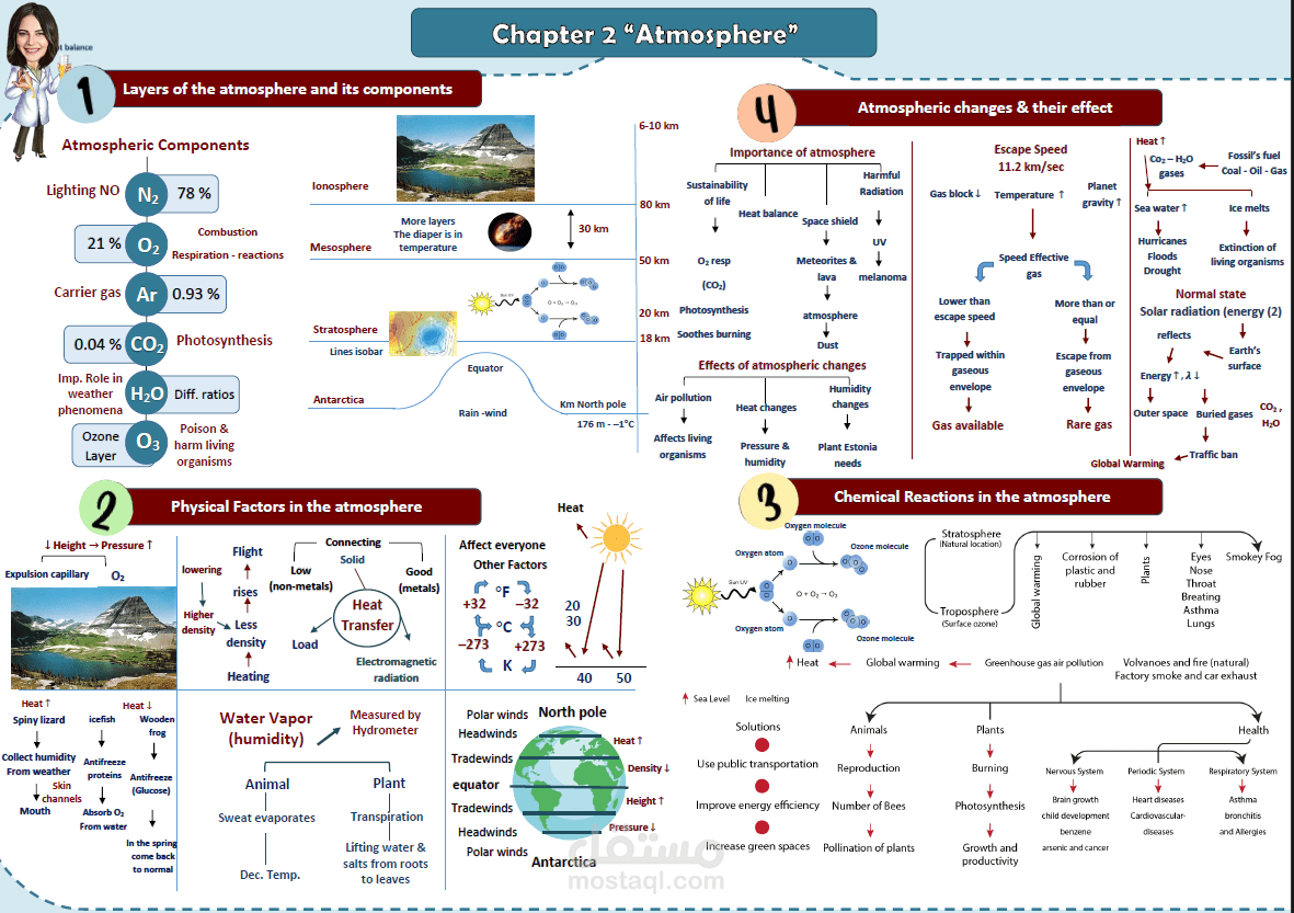 تصميم mind map