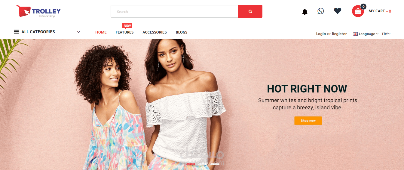 تروللي ماركت للتجارة الاكترونية