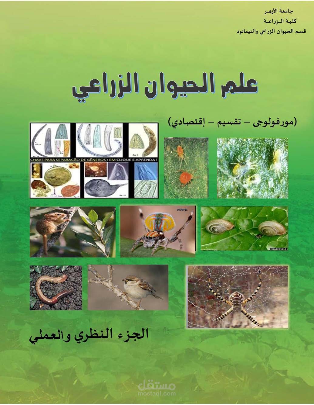 تصميم غلاف كتاب جامعى