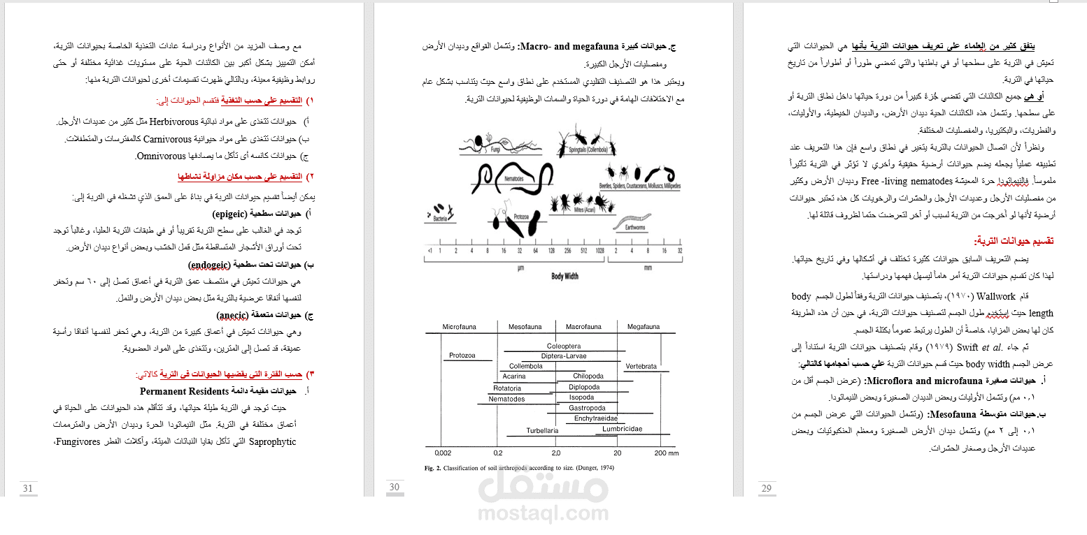 تلخيص الابحاث , المقالات,المراجع الي ملفات word او pdf .