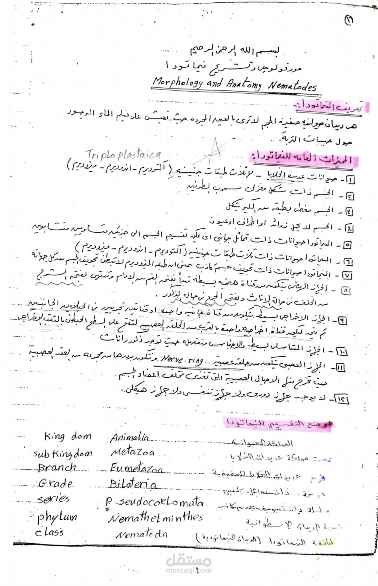 اعادة كتابة ملف مكتوب بخط اليد وتحويله الي ملف  word