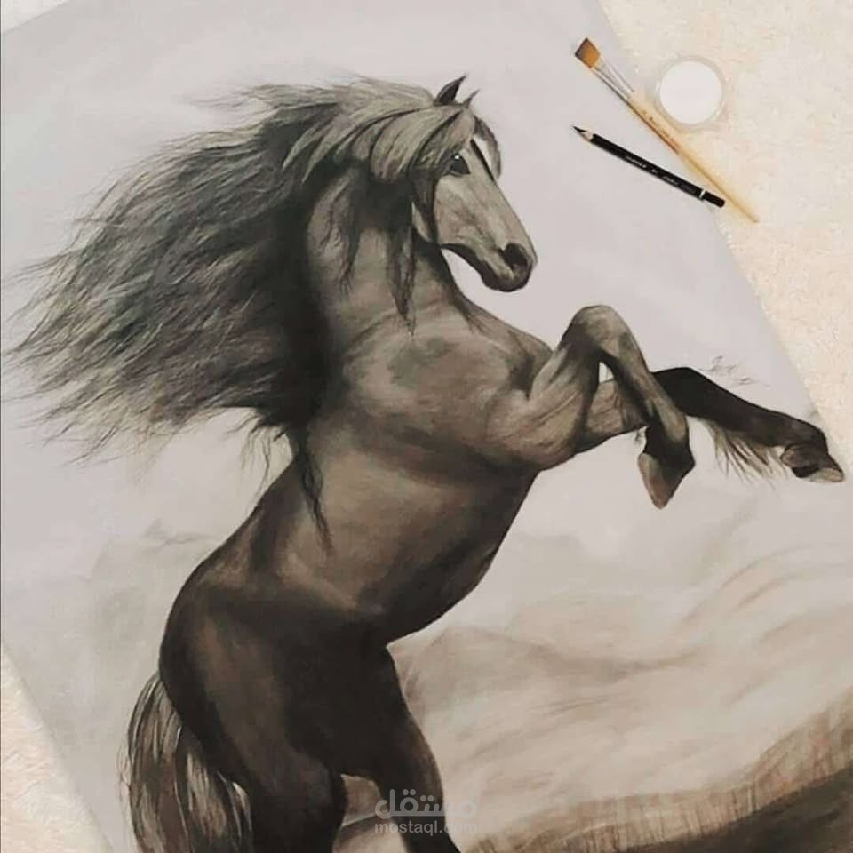 رسم خيل واقعي بأقلام الرصاص والفحم - فن رسم الحيوانات