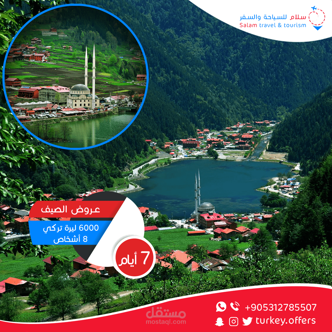 سوشال ميديا