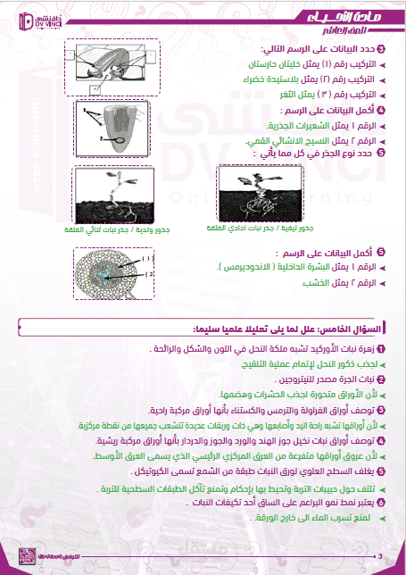 تنسيق وإخراج فني لمذكرة أحياء تعليمية احترافية وشاملة
