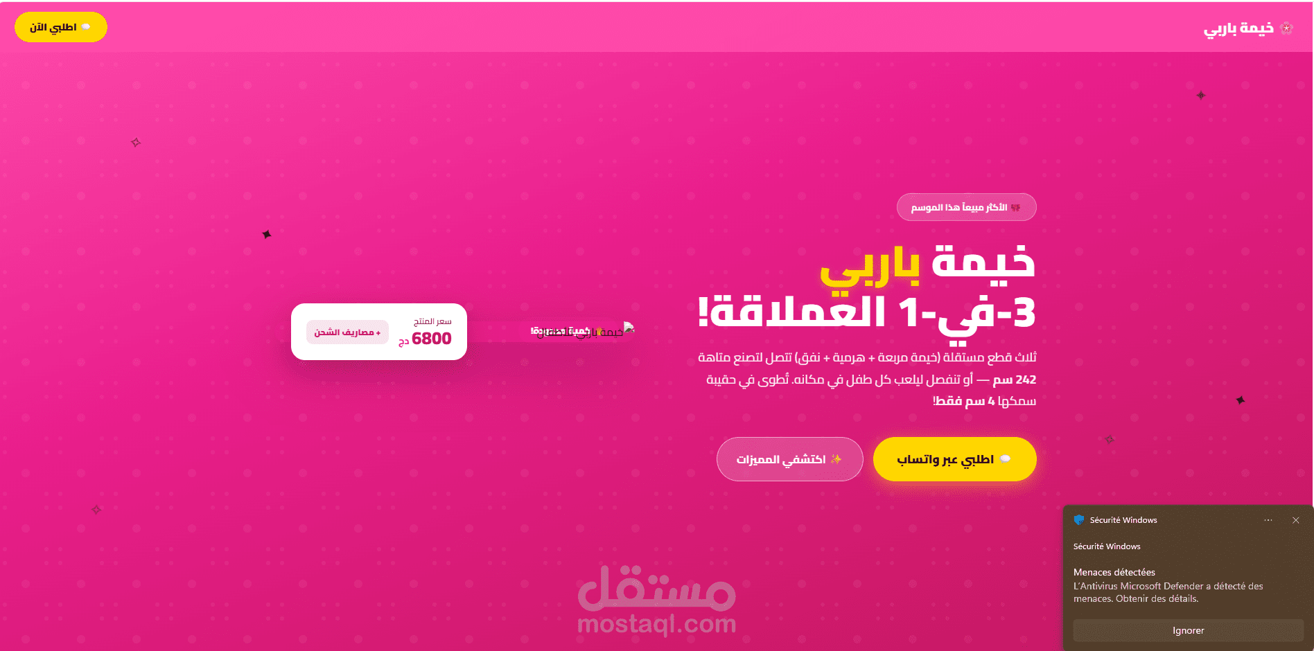 إنشاء صفحات هبوط ترويجية لمنتجات مختلفة و استضافتها على netfily