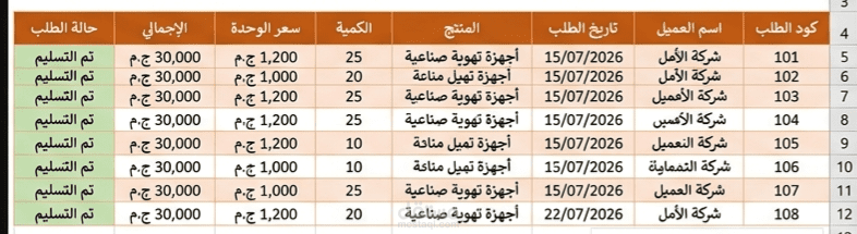 تنظيم وتدقيق قاعدة بيانات شاملة باستخدام Excel.