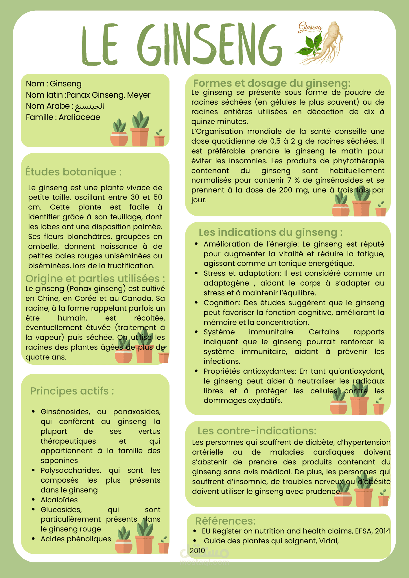 Title: Scientific Monograph on Ginseng (Panax Ginseng) – Uses, Dosage, and Contraindications