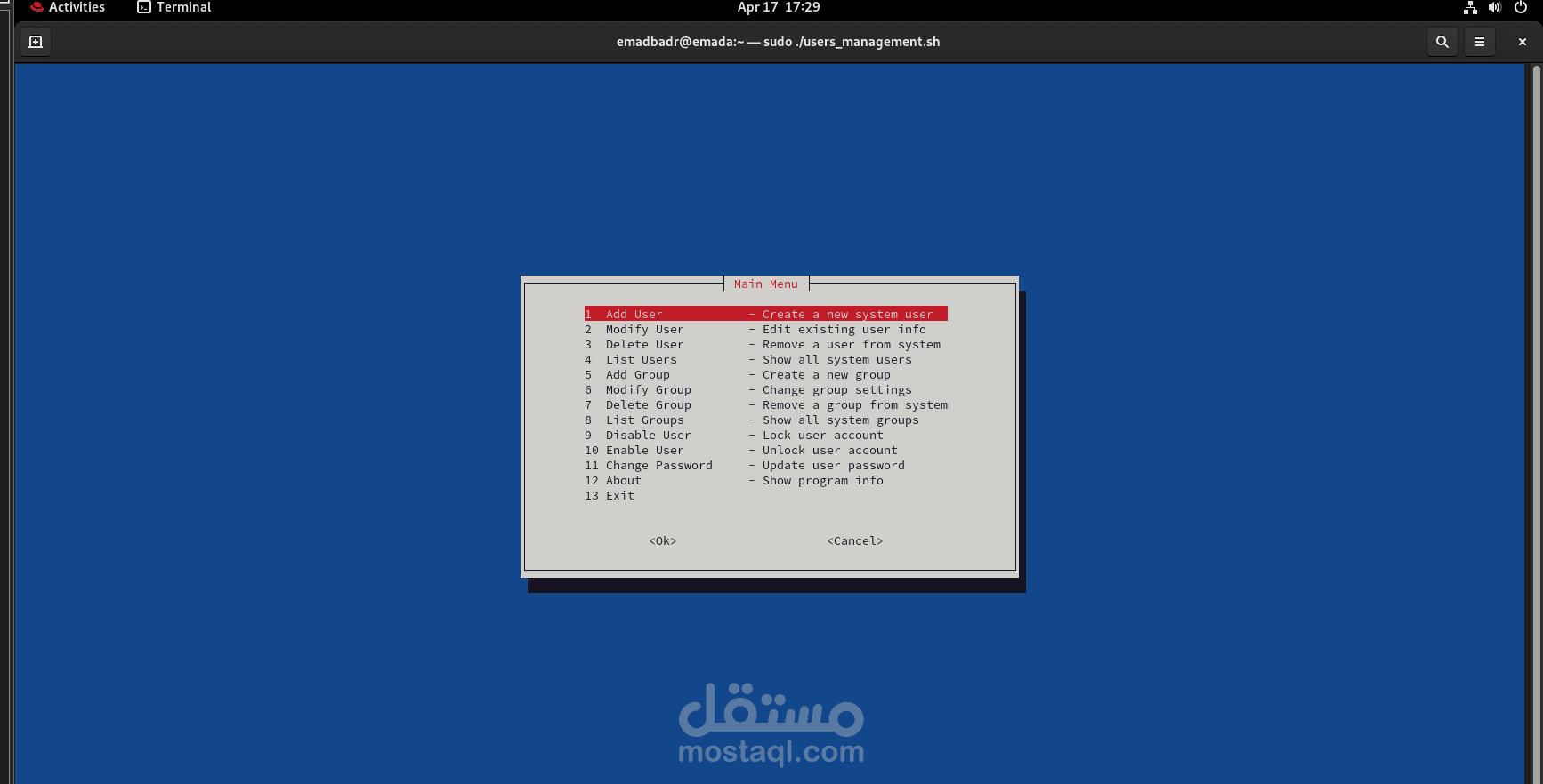 bash script project