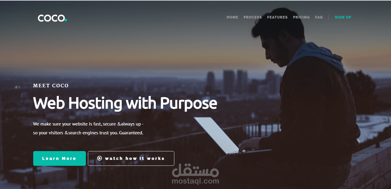 صفحة هبوط لشركة استضافة ويب