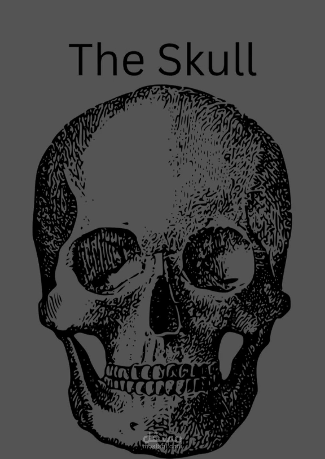 Anatomy of the Skull