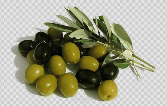 فوائد الزيتون: الكنز الصحي الذي لا غنى عنه
