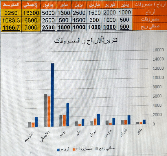 نموذج احترافي لتنظيم الارباح والمصروفات باستخدام excel