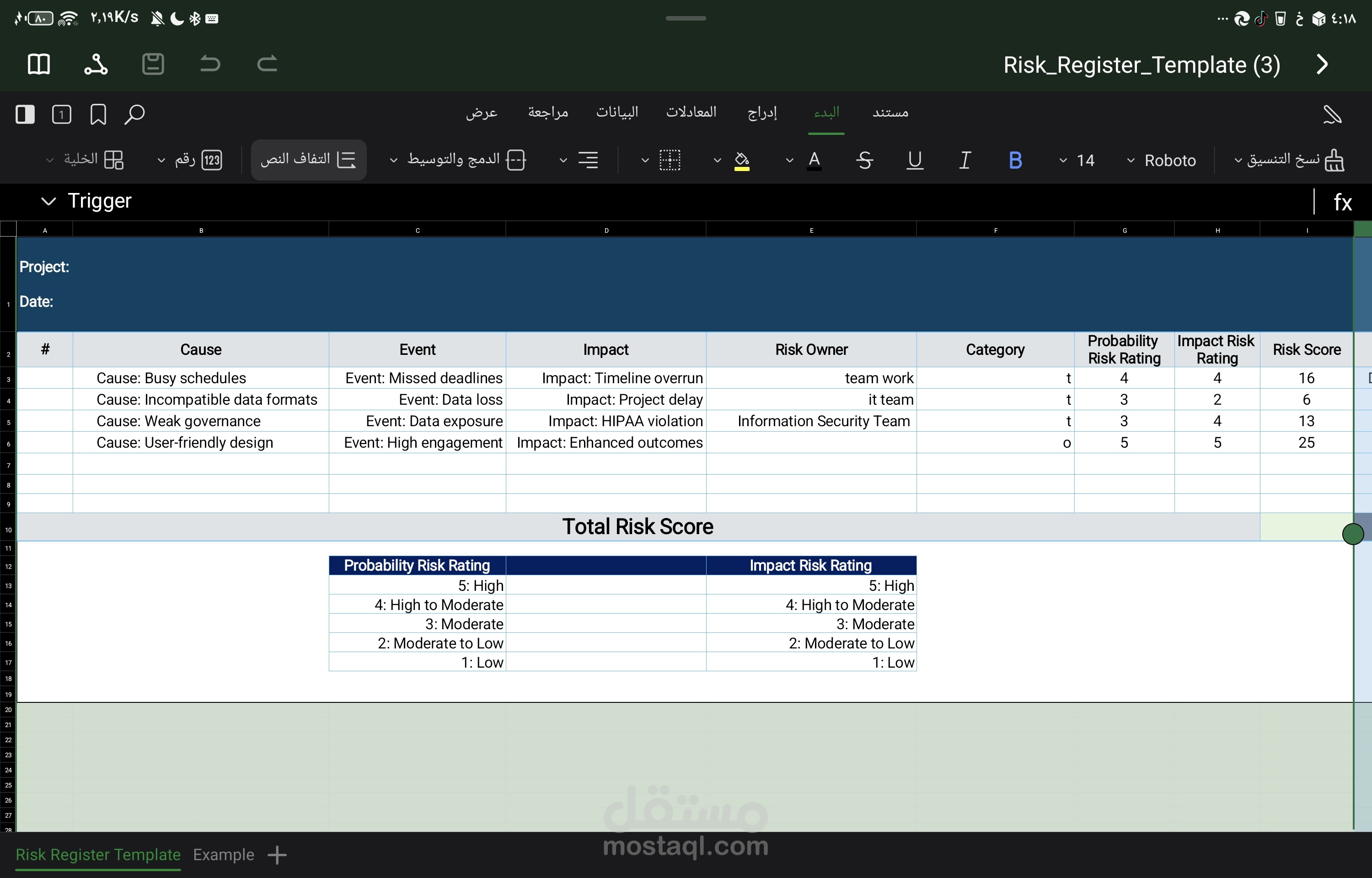 Risk register
