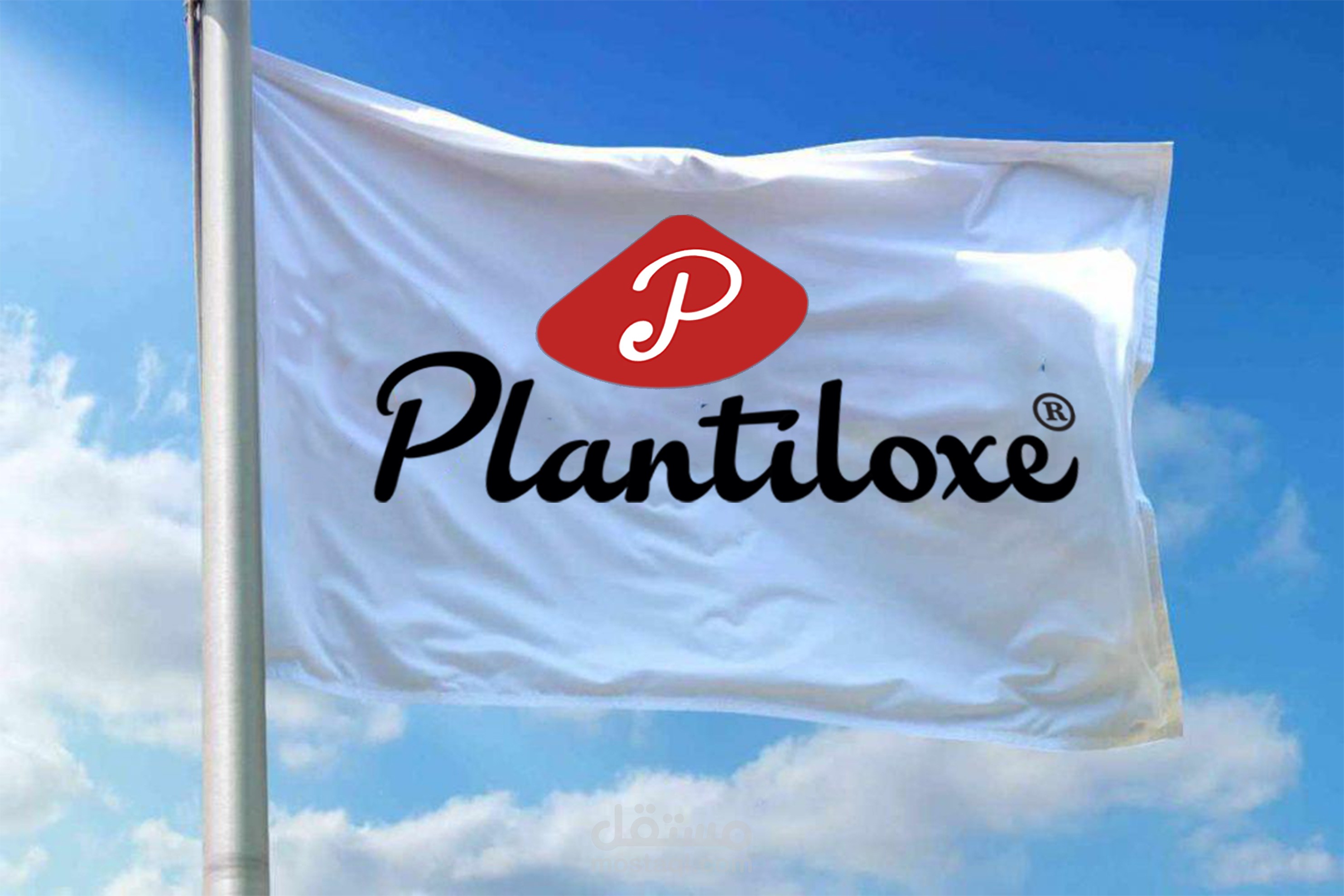 PLANTILOXE