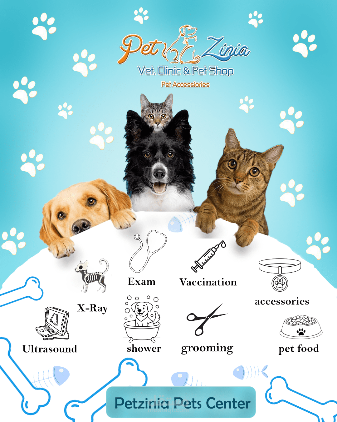 petzinia vet clinic