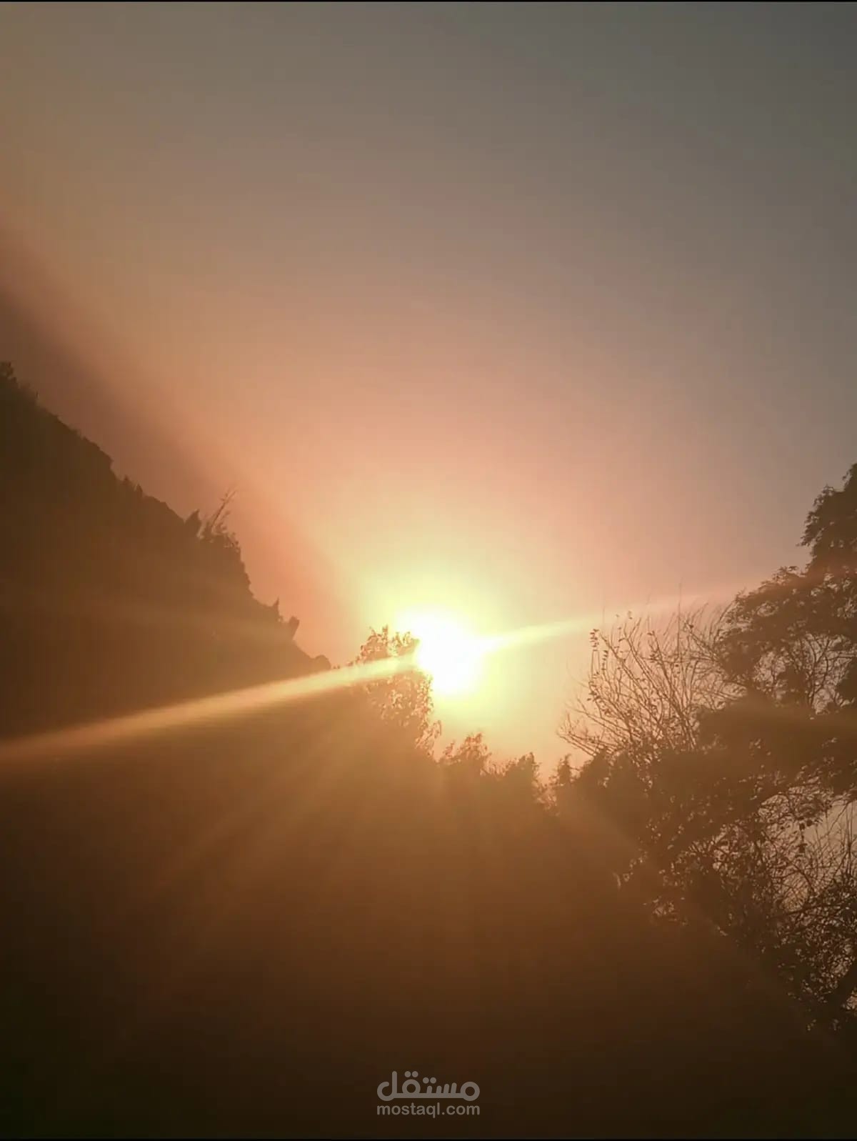 تصوير و مونتاج