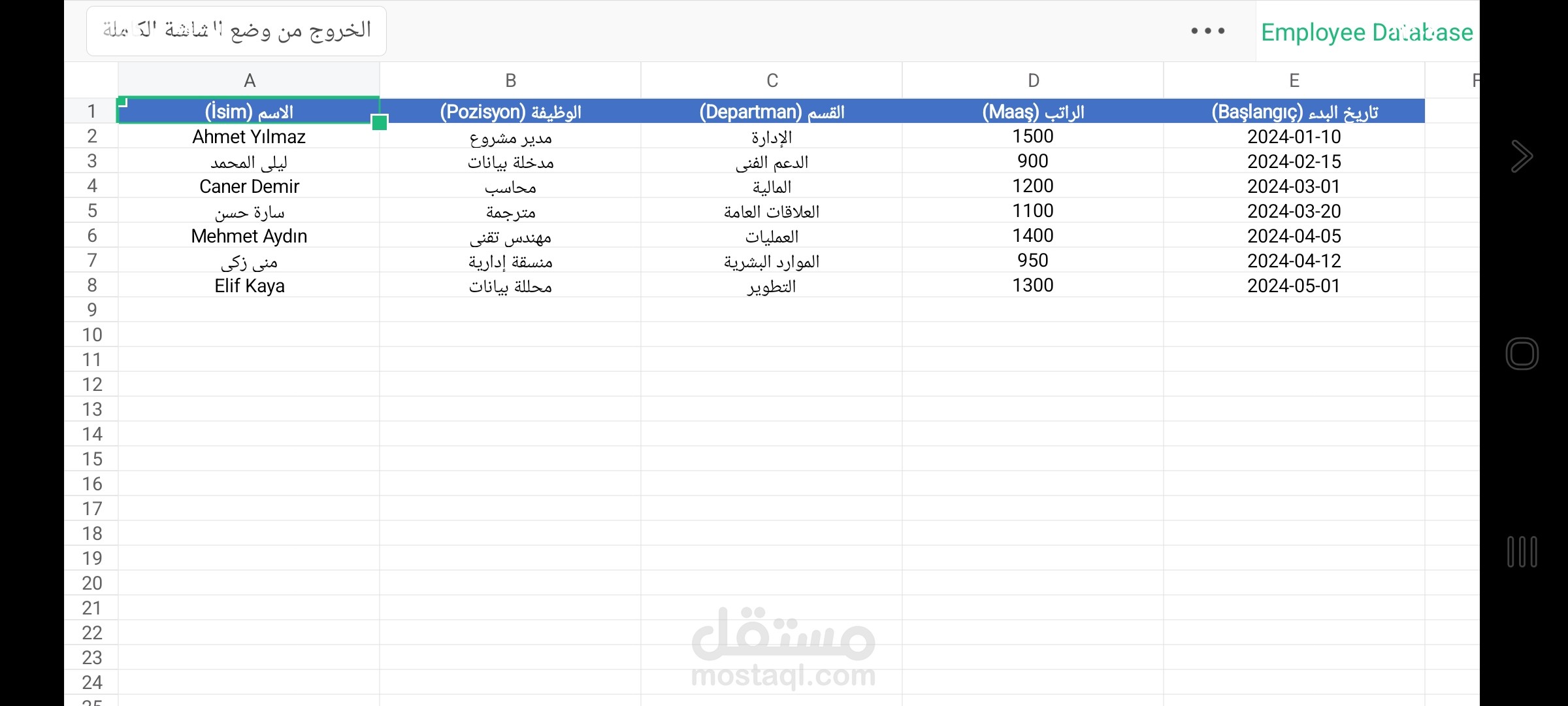تصميم قاعدة بيانات موظفين ثنائية اللغة (عربي - تركي).