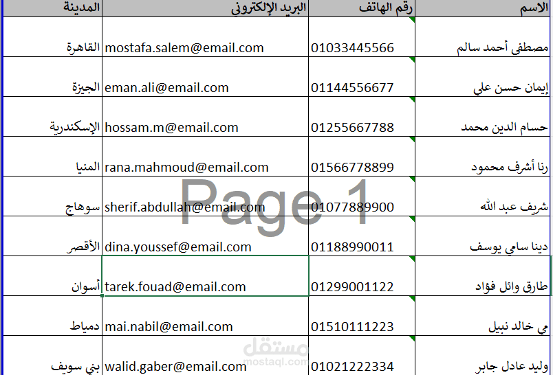 إدخال بيانات عملاء في Excel بشكل منظم