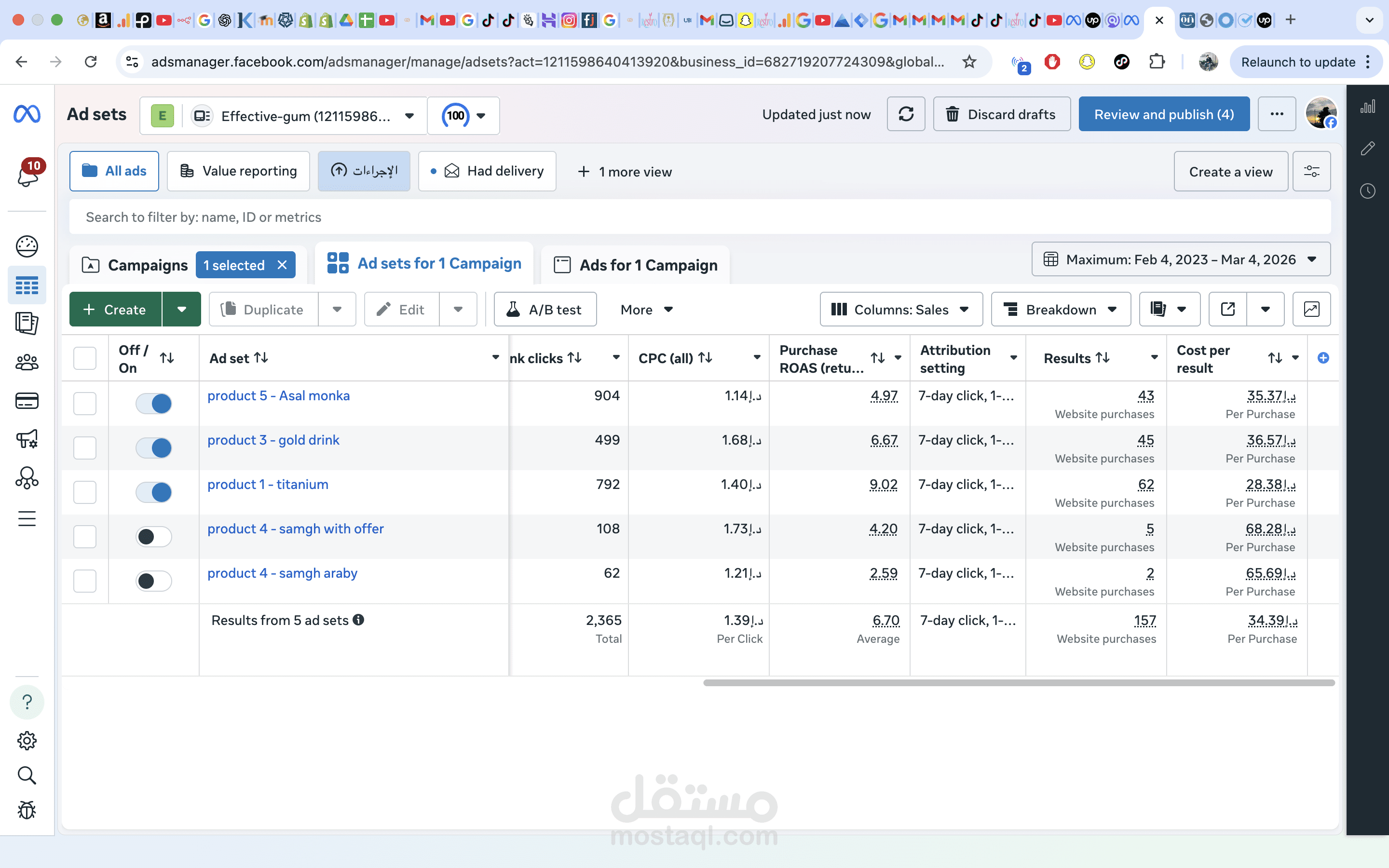 إدارة حملات Lead Generation على Meta Ads — ٨ حملات متزامنة