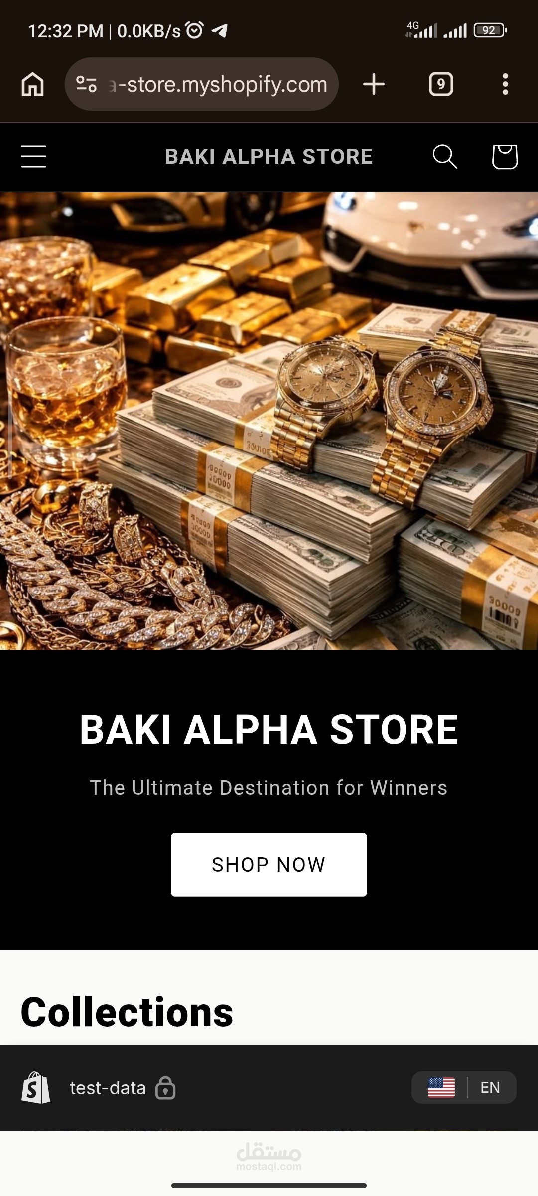 BAKI ALPHA STORE for luxury watches
