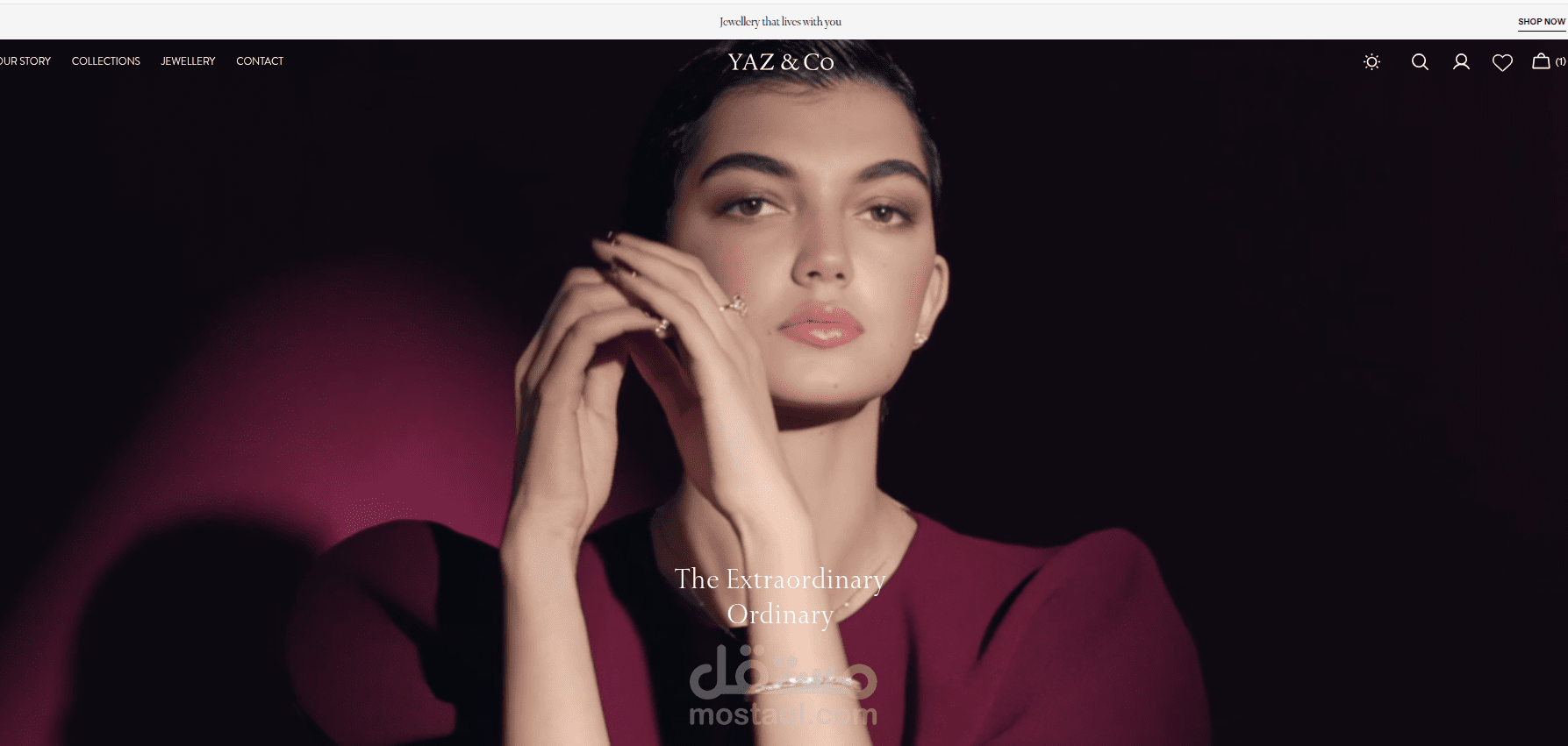 Yaz & Co | Professional Shopify Store Development