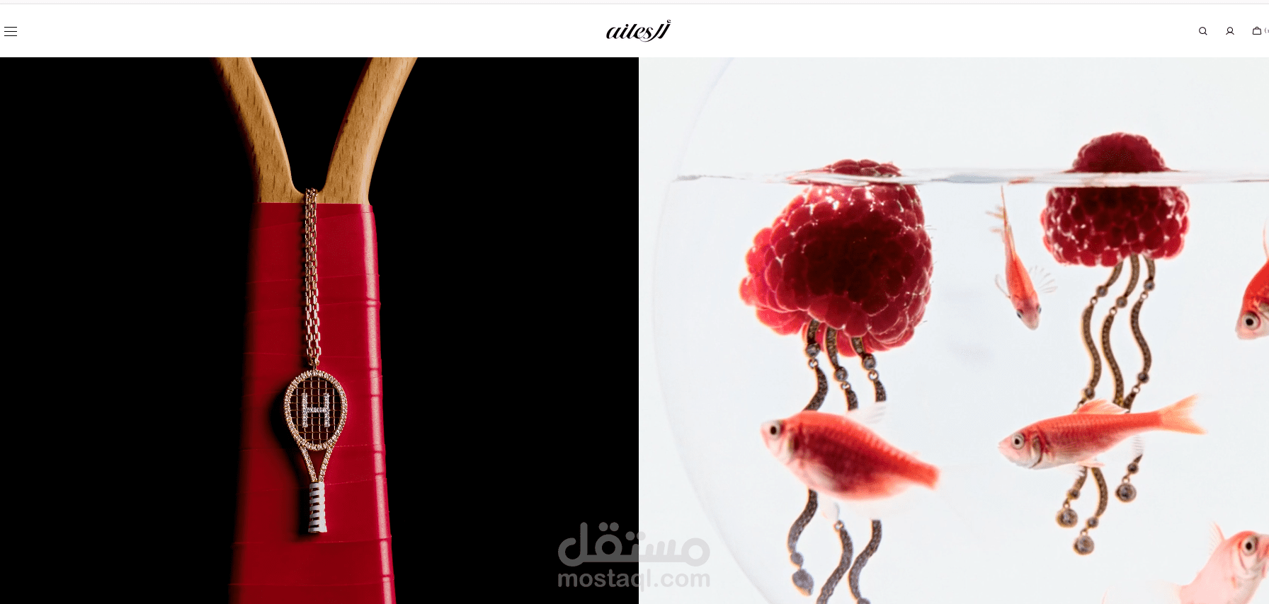 Work Title: Ailes Jewelry | Luxury Jewelry Shopify Store | Dubai