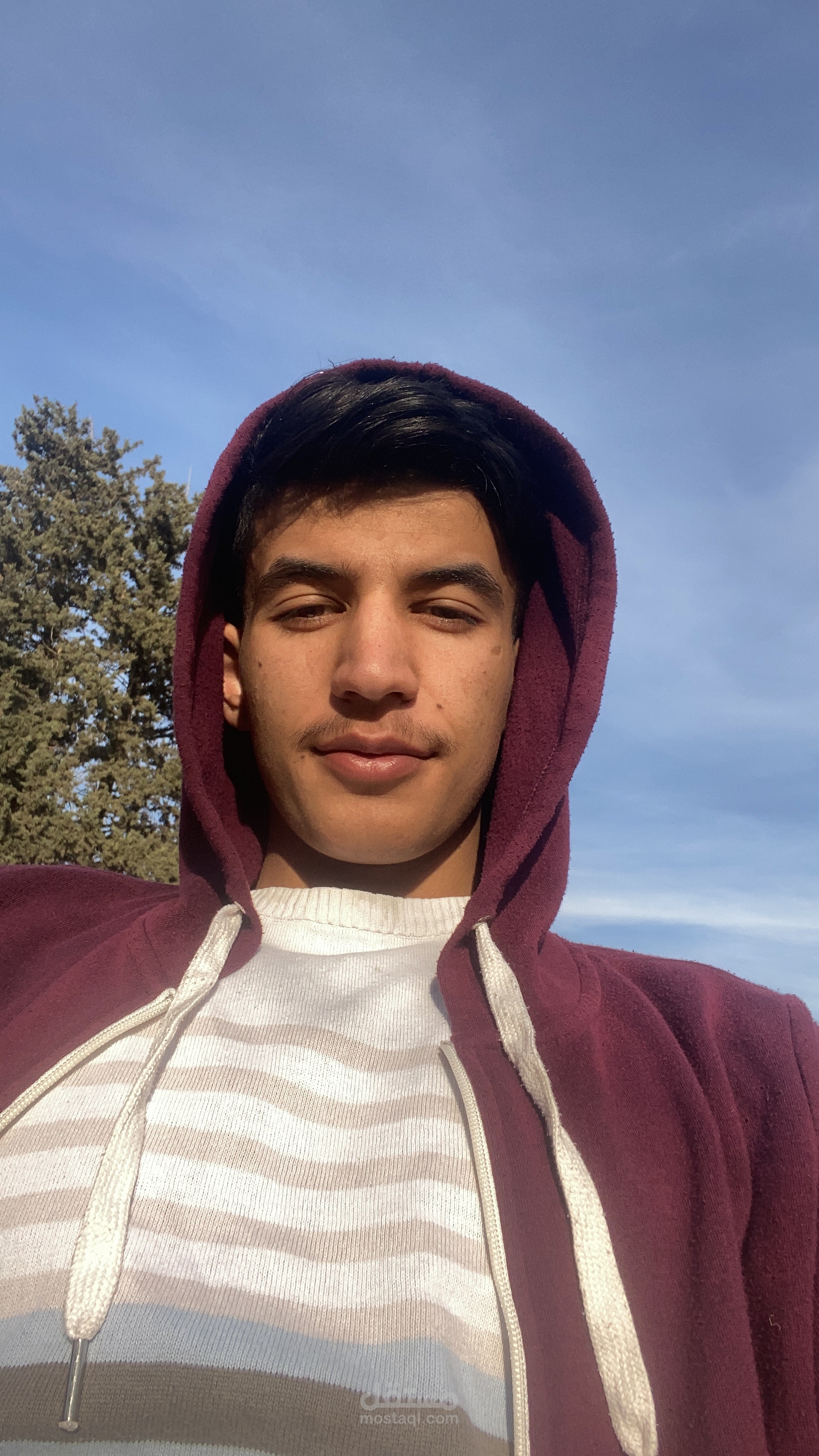 عمل اونلاين من المنزل