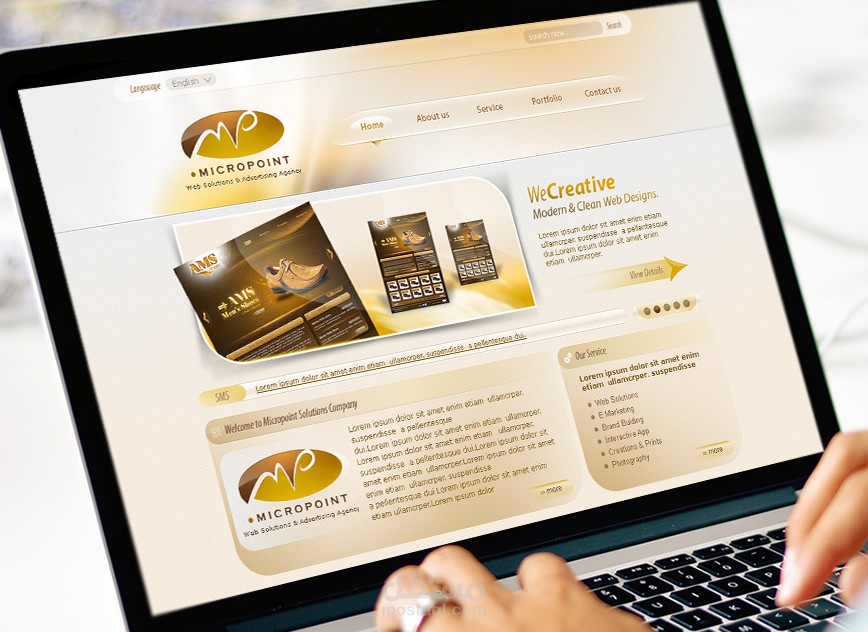 Micropoint - Web Solutions - Website