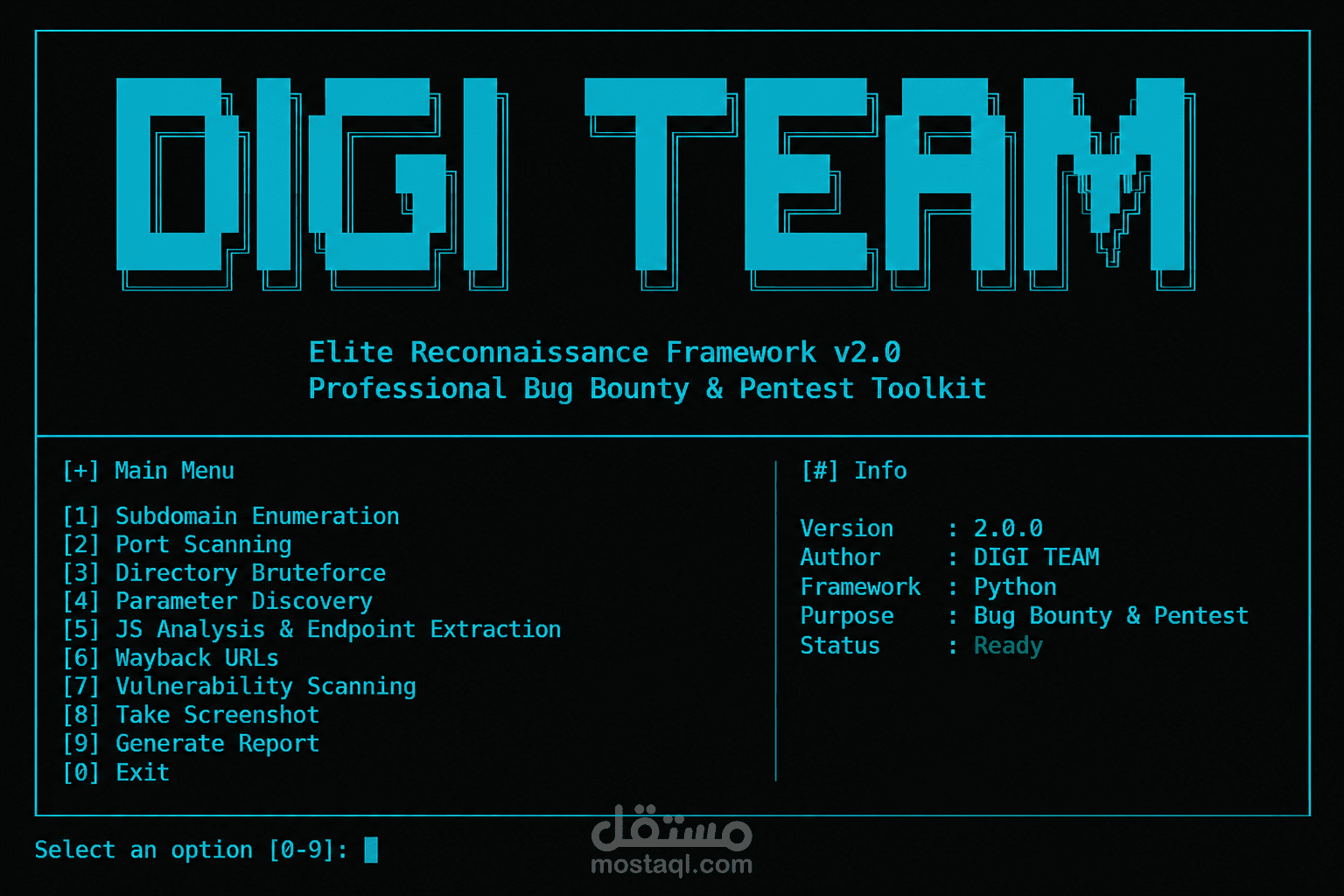 تطوير أداة DIGI TEAM للاستطلاع واختبار الاختراق