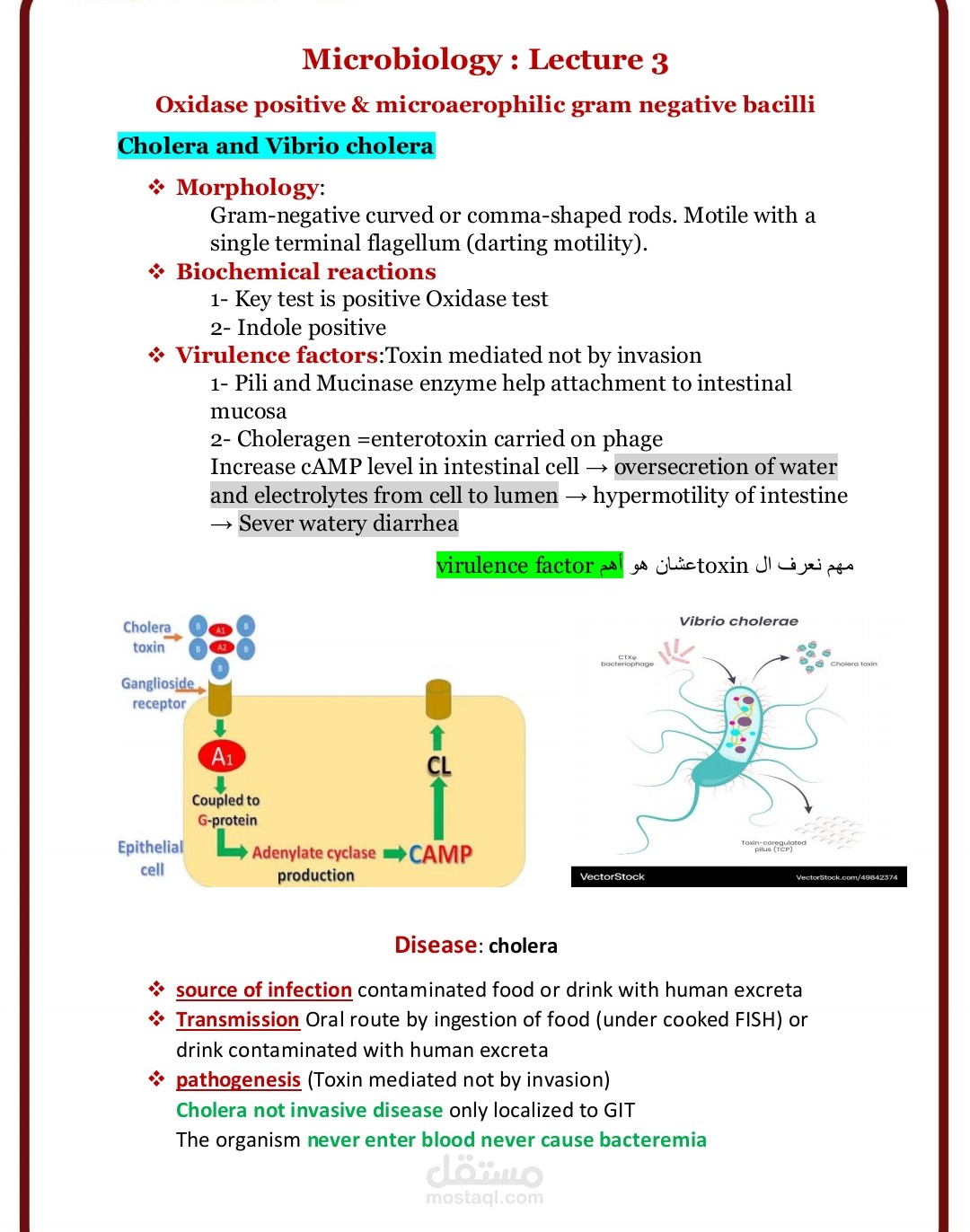 microbiology lecture تفريغ