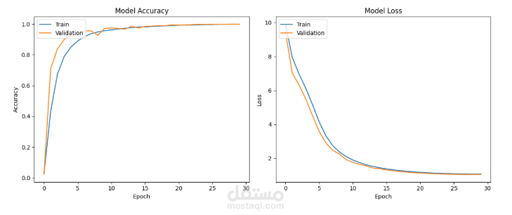 Crop Disease Classification System Using Deep Learning (ResNet Model)