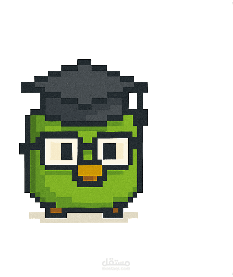 منصة لتعليم لغات البرمجة عن طريق نظرية اللعبة birdly