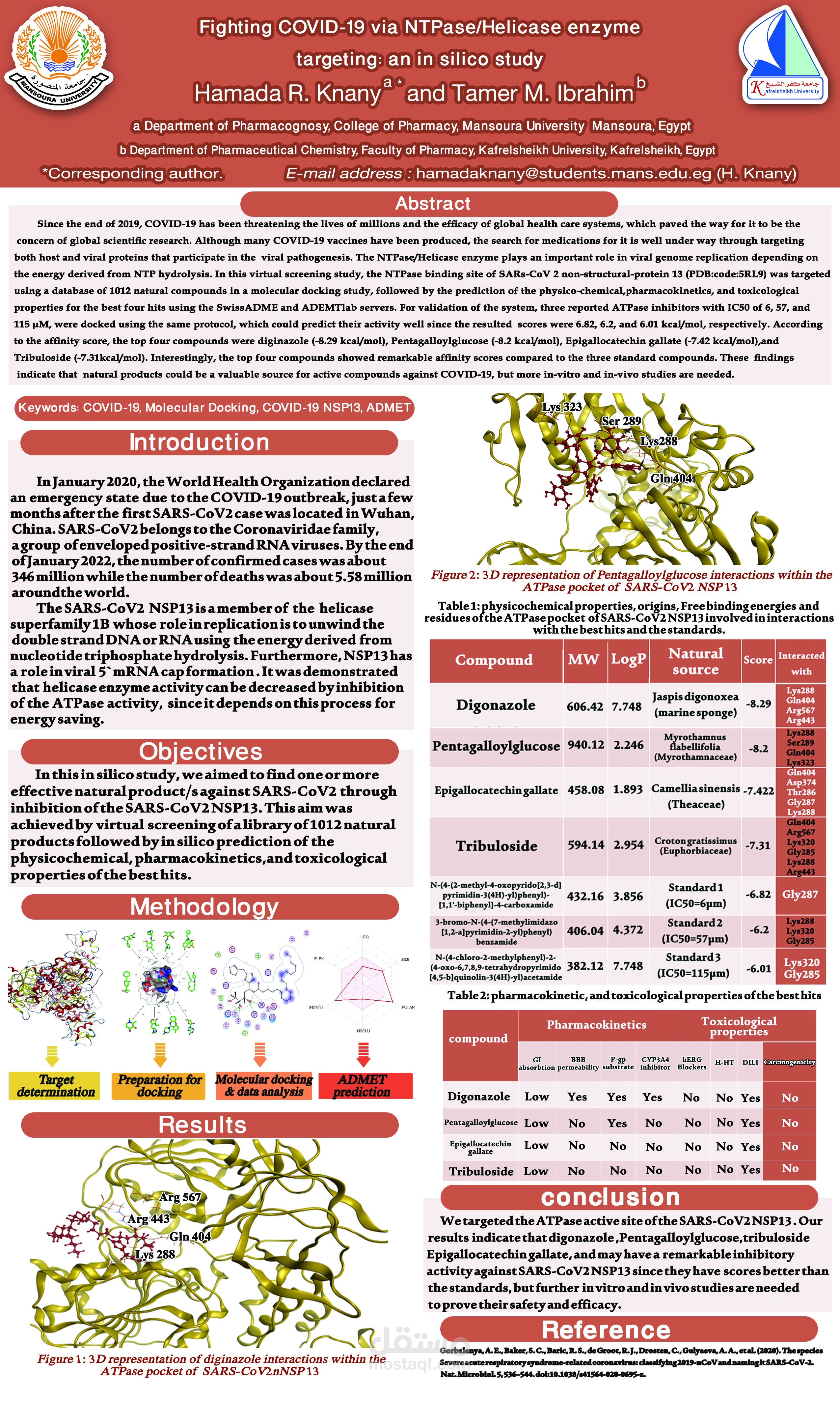 Fighting COVID-19 via NTPase/Helicase enzyme targeting: an in silico study