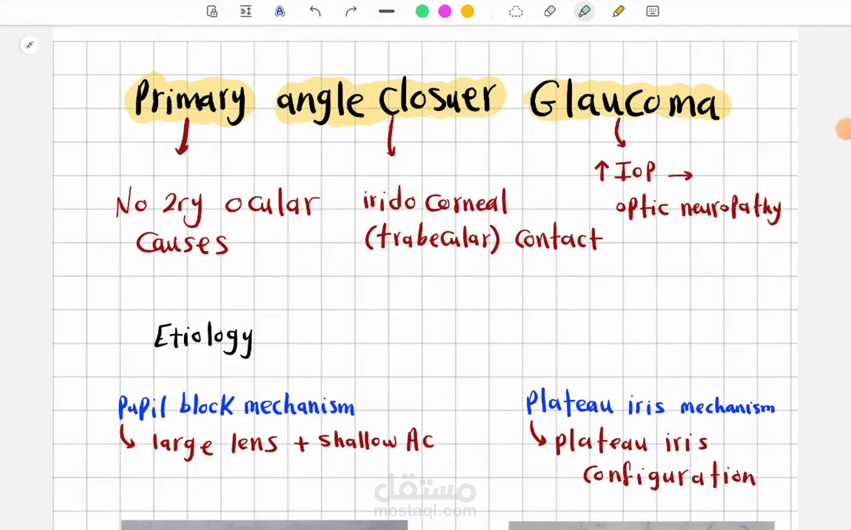شرح لاحد محاضرات كلية الطب في ال Ophthalmology مخصصة لاحد الكليات الطبية