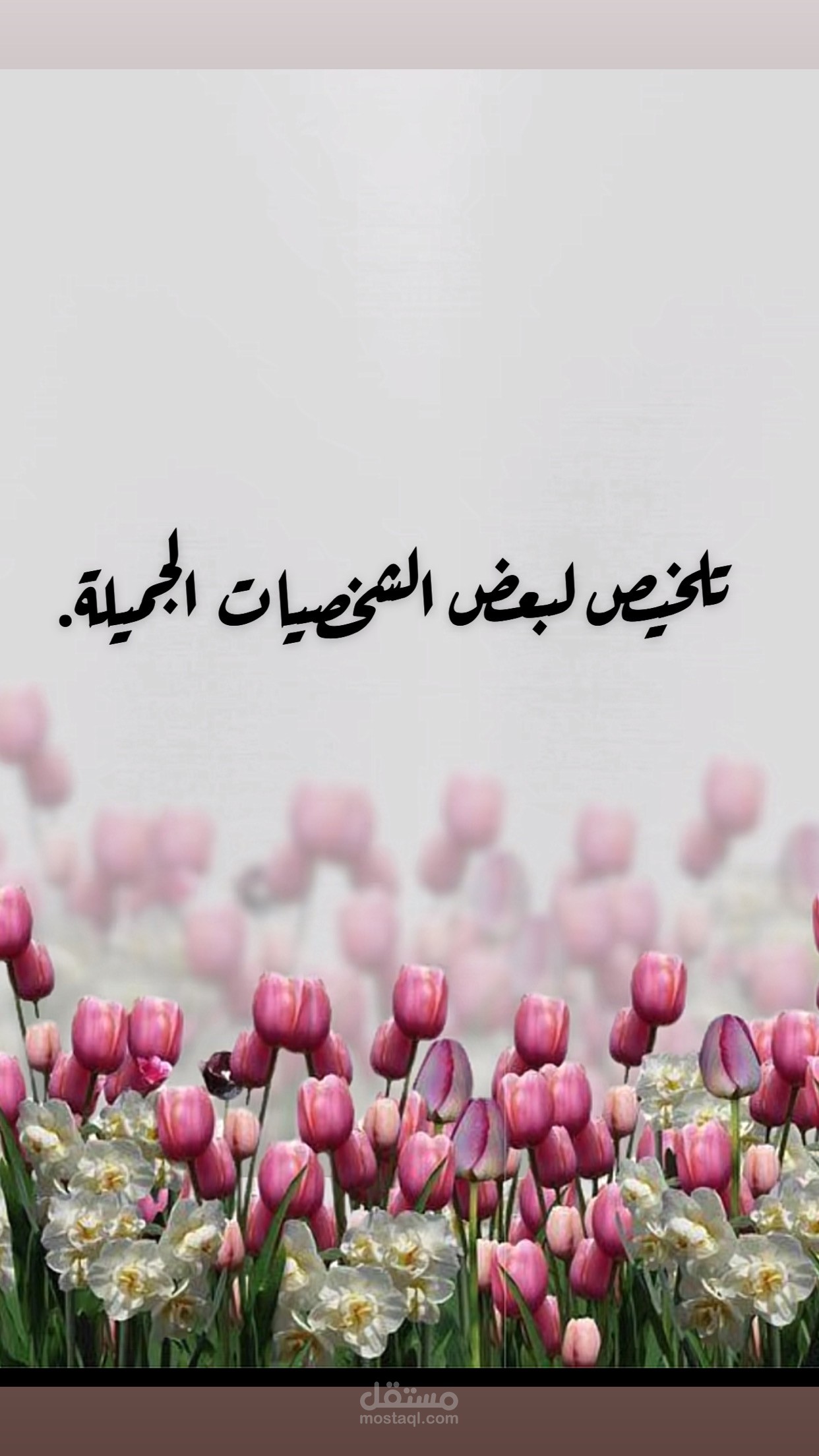 تلخيص بعض شخصيات الادب