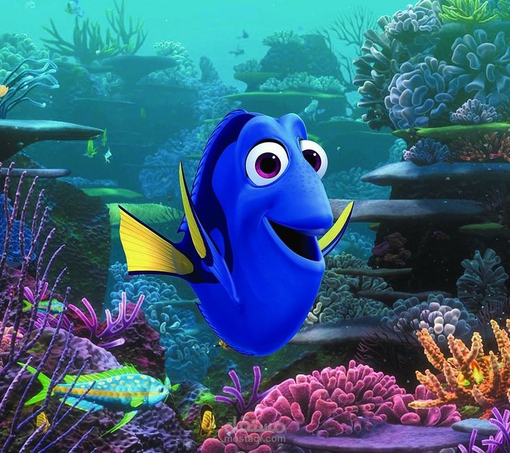 Voice Over & Dubbing | Dory Scene
