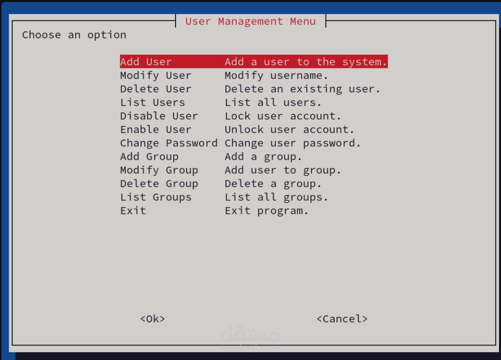 Bash Script Project