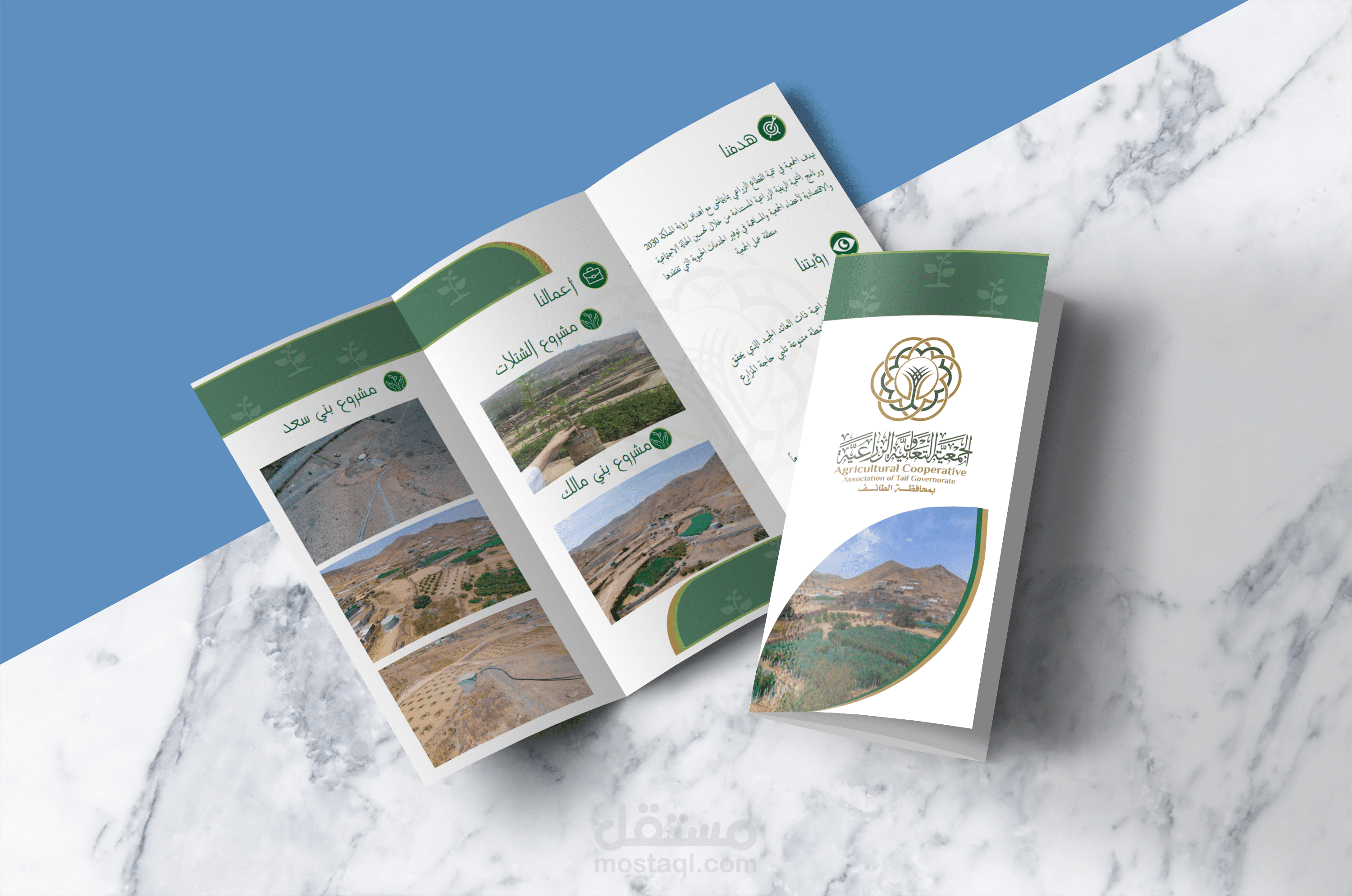 تصميم منشورات مختلفة
