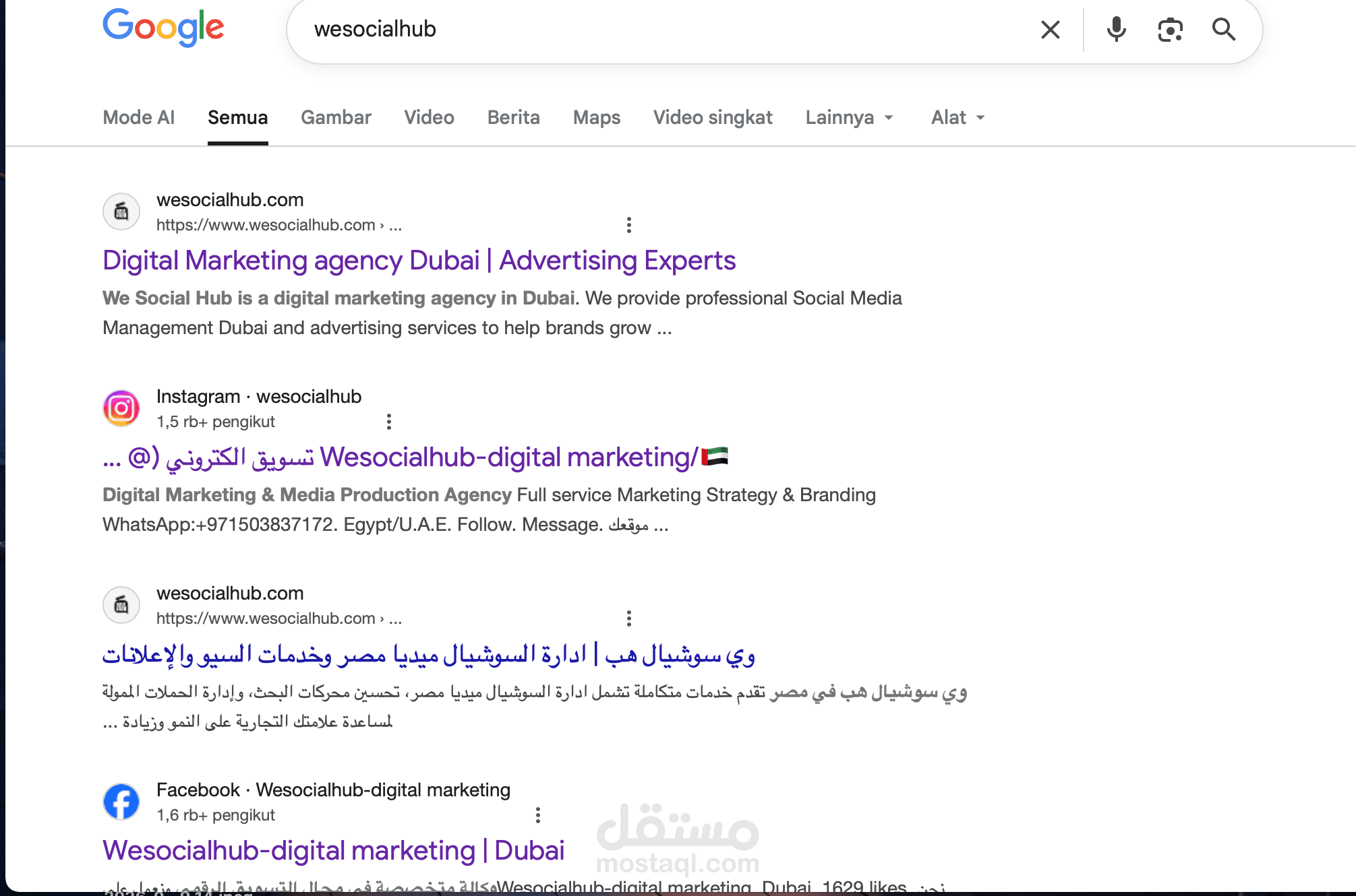 seo for wesocialhub