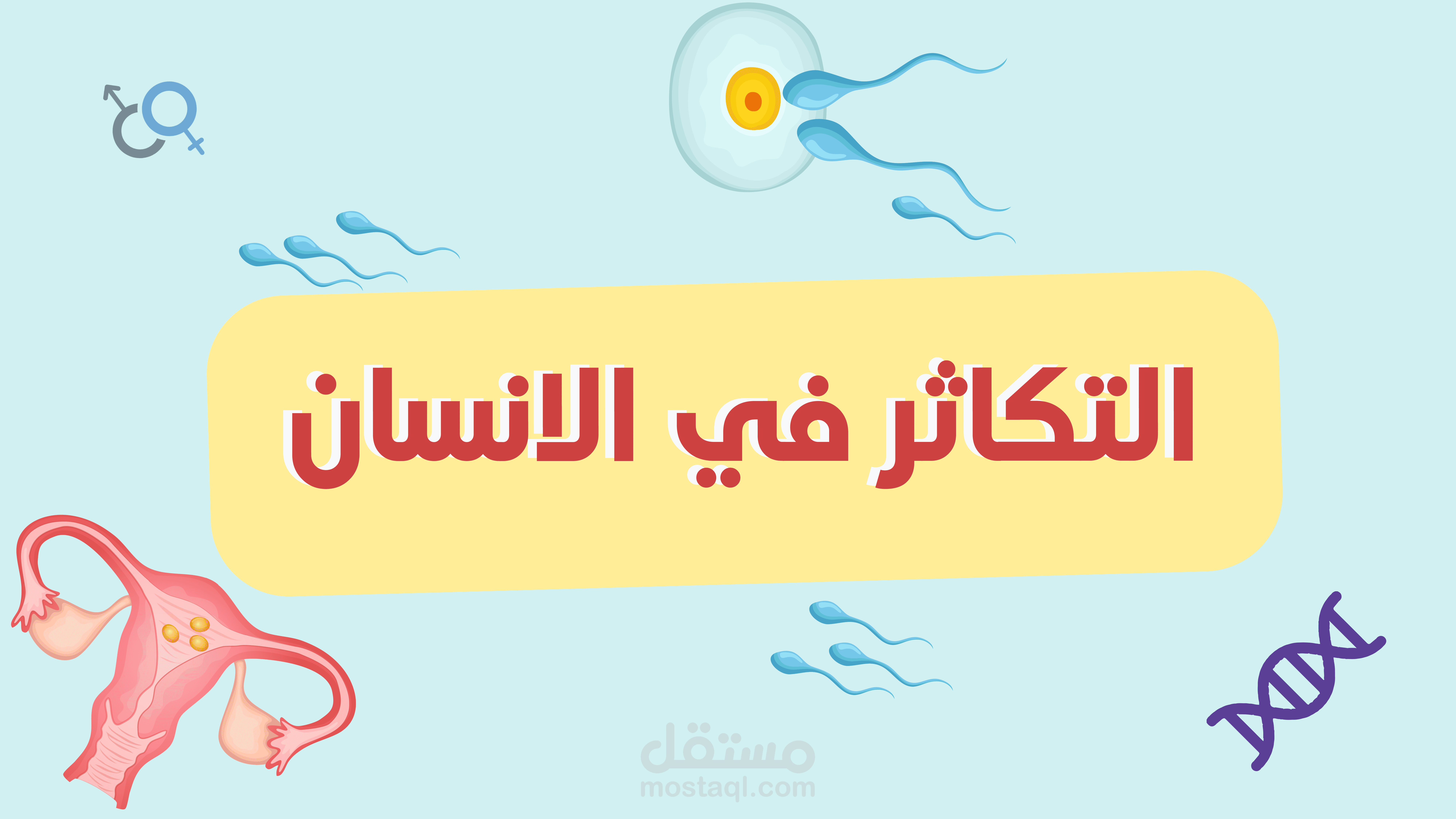 فيديو تعليمي عن التكاثر في الانسان
