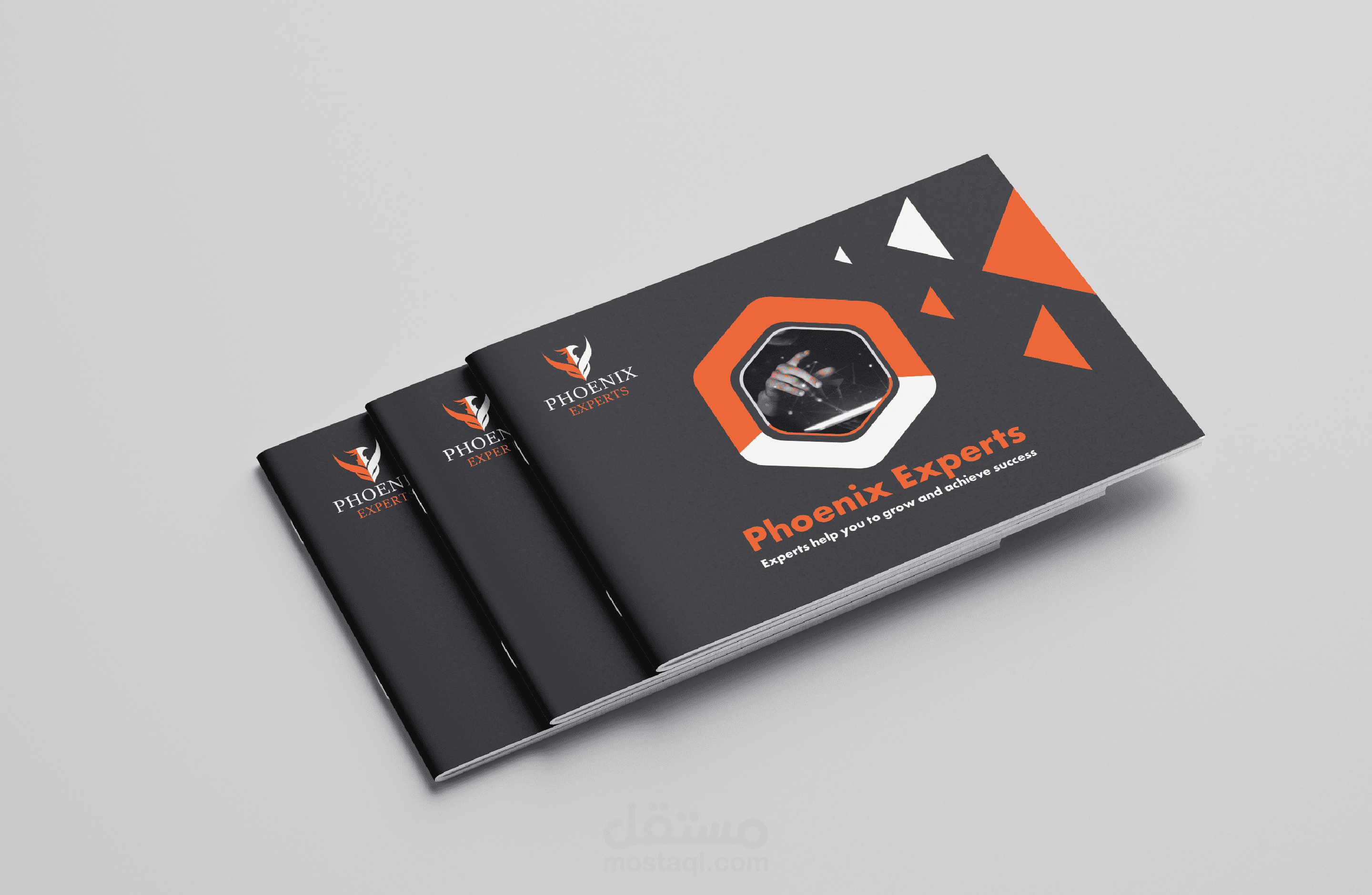 بروفايل لشركة فيونيكس الالمانية