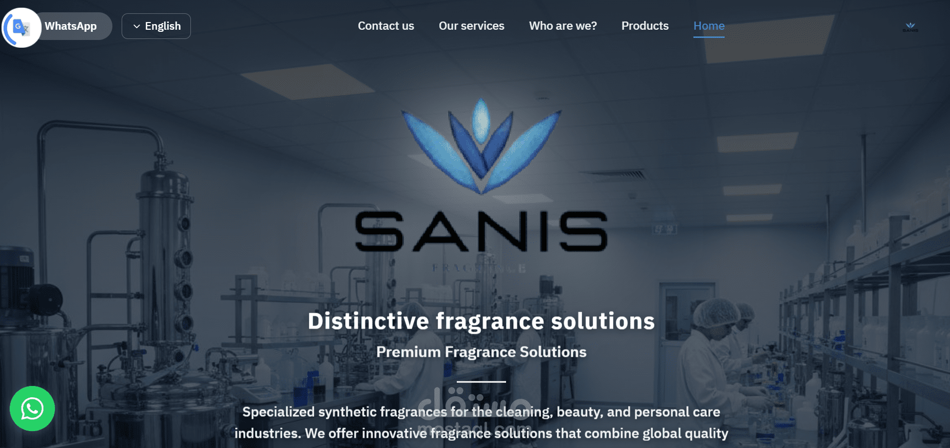 Software Developer | Business Systems & Web Solutions