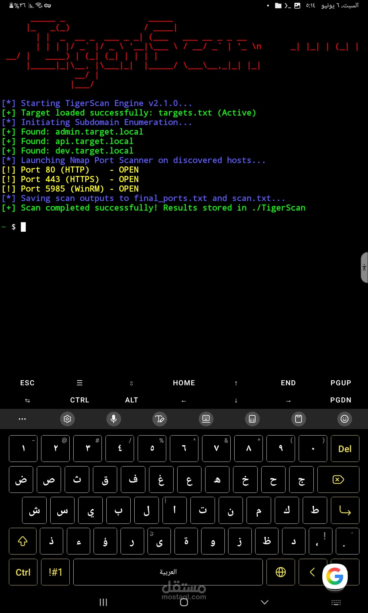 TigerScan - إطار عمل متكامل لأتمتة فحص الثغرات وجمع المعلومات (Recon Framework)