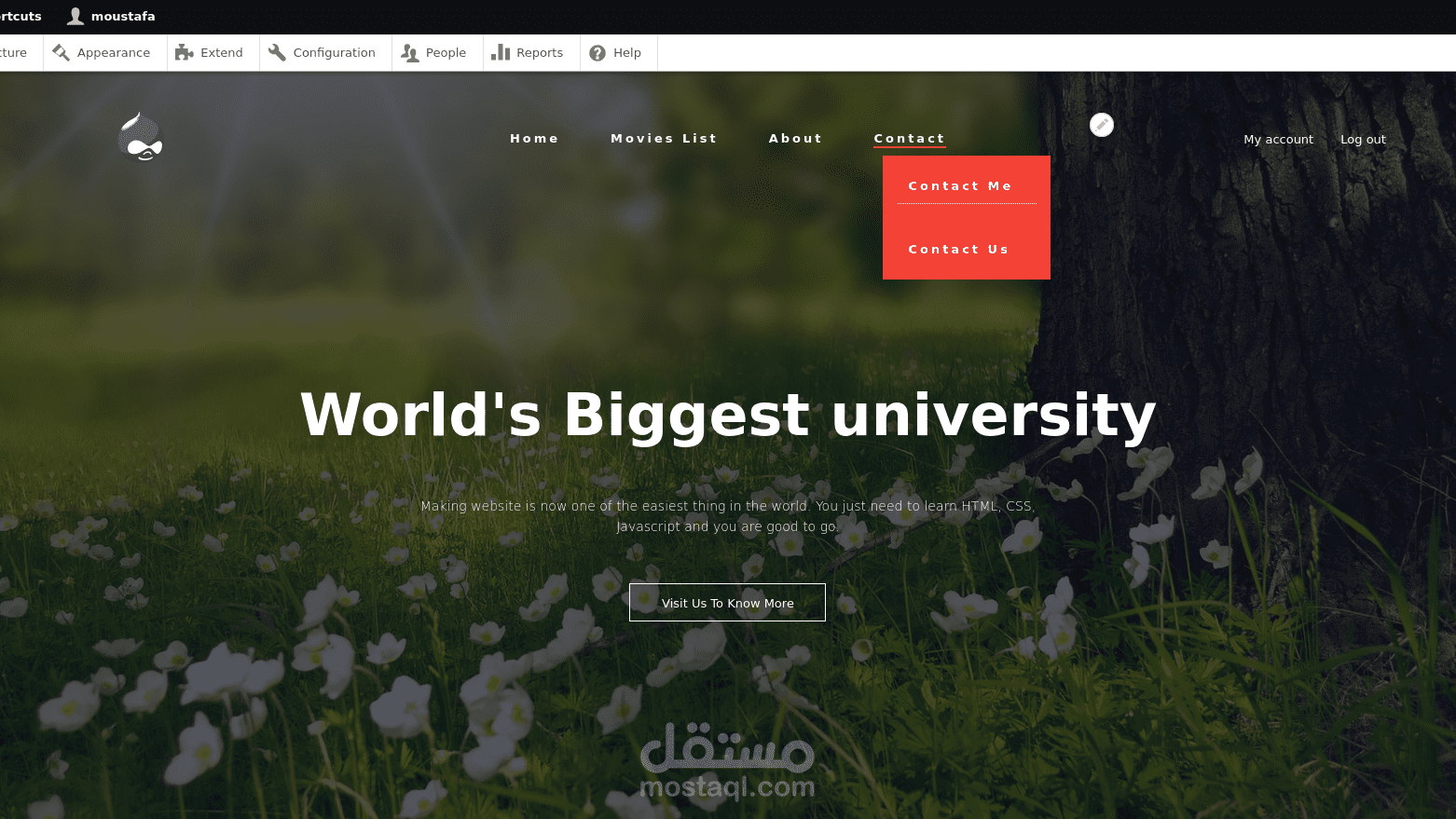 قالب دروبال 8/9 مخصص - Custom Drupal 8/9 Theme