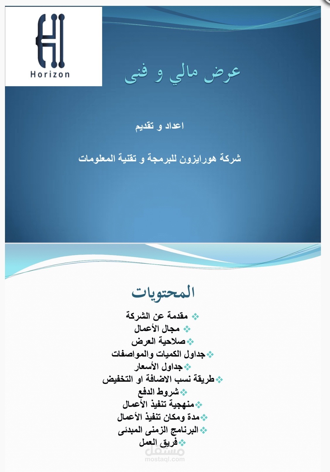 عرض مالي و فنى لشركة هوايرزون السعودية