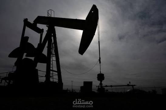 خطة عبقرية أم مقامرة انتحارية