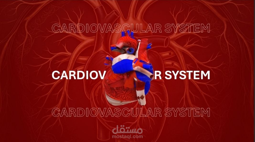 جزء من عرض تقديمي عن القلب