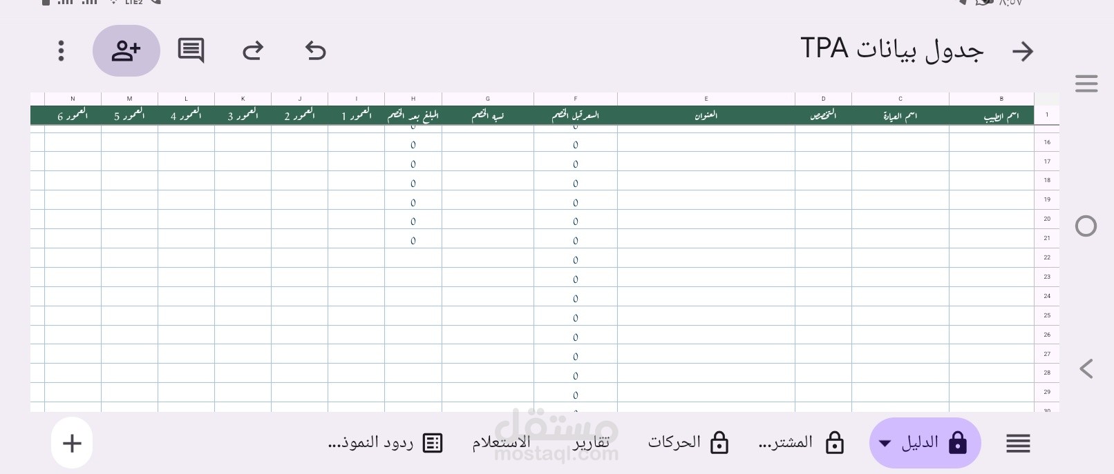 جدول بيانات مشروع TPA